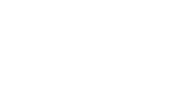 arctoris-logo-transparent